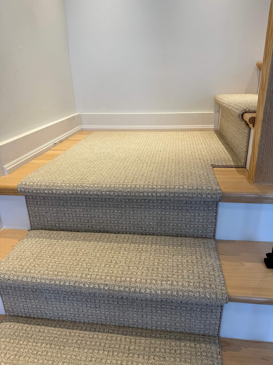 Full view of Anderson Tuftex Fetch Birch Stair Runner Landing Canada in light birch tones